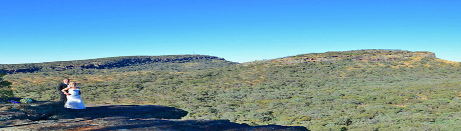 Peregrines at Table Top Mountain